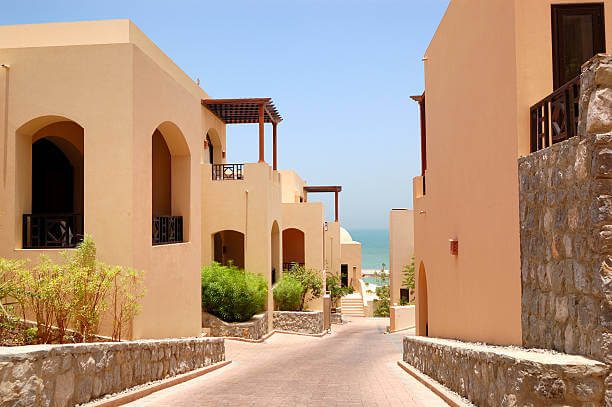 Tips & Ways to Add Value & Style with Top-Quality Painting Services in DAMAC Hills Painting Services in DAMAC Hills AED 199